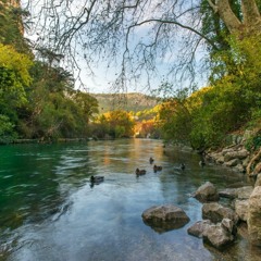 Rivers Edge