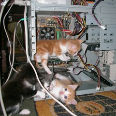 Future kitten music for everyone not just kittens