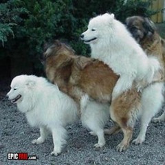 Supra prod. MC Burger, Lil Beam, Lord farquaad