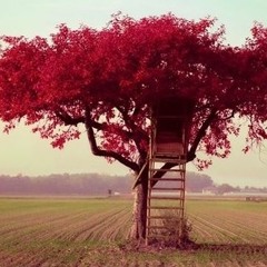 Always Remember Us This Way - Lady Gaga (cover by otty)