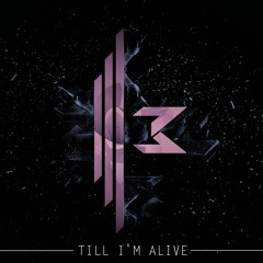 Till I'm Alive