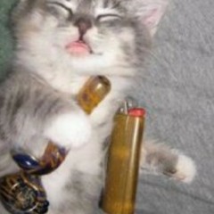 FXCKDOMP - Cat Nip^ Freestyle Prod. JXYZE