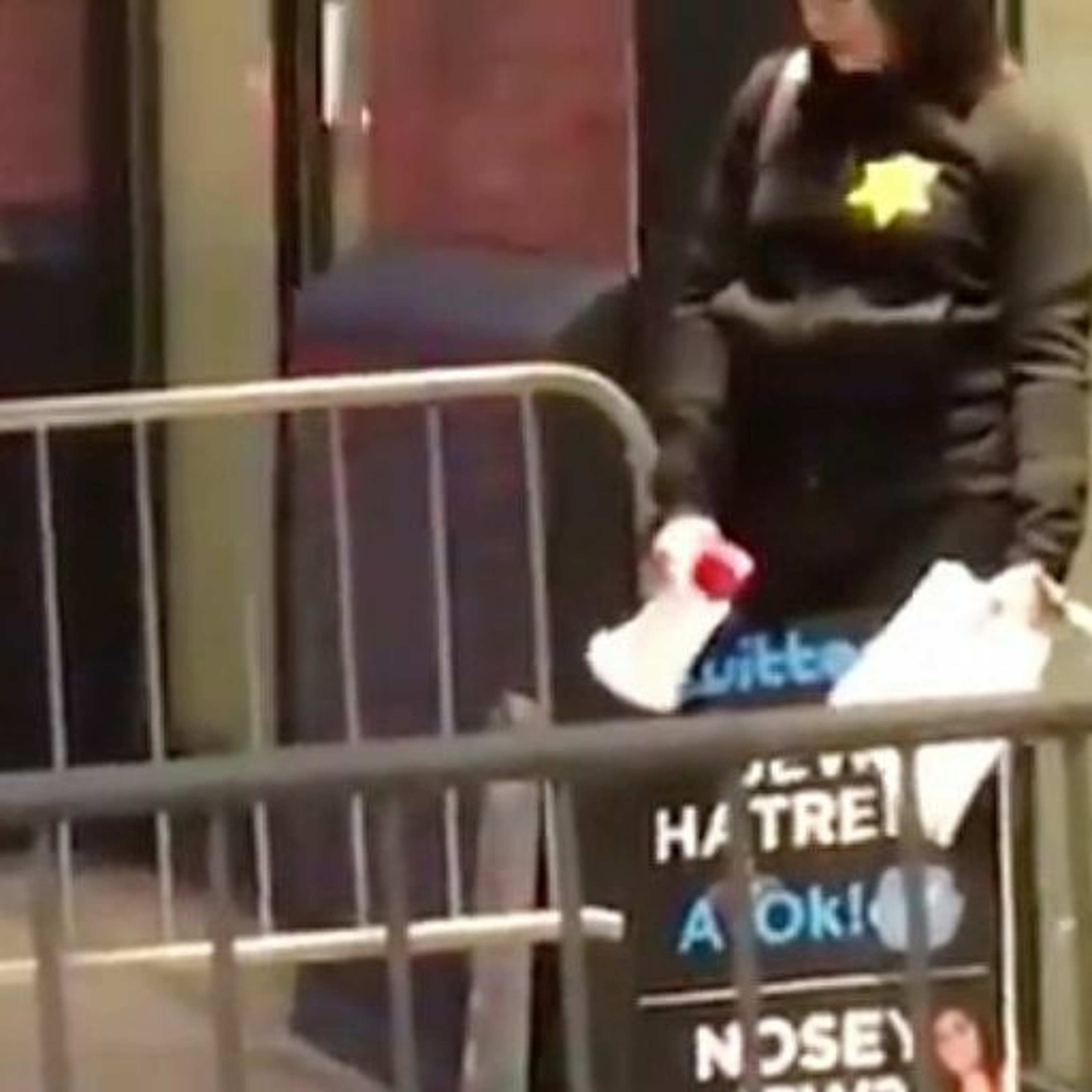 Laura Loomer Is A Fucking Weirdo episode artwork