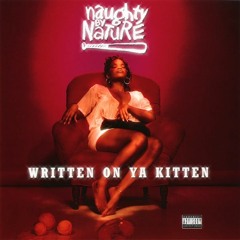 Naughty By Nature | Written On Ya Kitten (1993) (QDIII Mix)