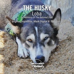 The Husky - Loba (Original Mix) [SMLD016]
