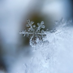 雪の世界 / World of Snow