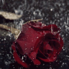 S - Knew Ft Blackz  This Time