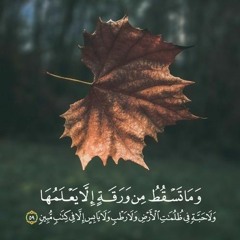 ❤  وَعِندَهُ مَفَاتِحُ الْغَيْبِ لَا يَعْلَمُهَا إِلَّا هُوَ ۚ ❤ | الأنعام ۞ محمود الشحات