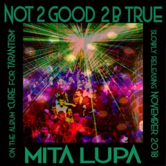 Mita Lupa :: NOT 2 GOOD 2 B TRUE