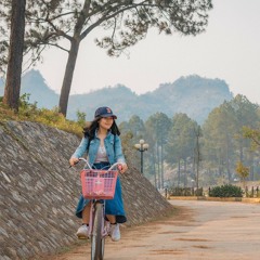 Giá Trị Của Em Nằm Đâu - Linh Cáo