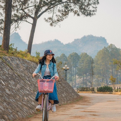 Giá Trị Của Em Nằm Đâu - Linh Cáo