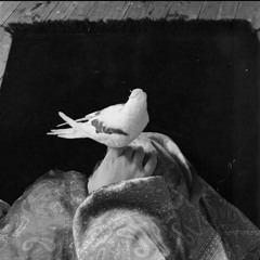 .خلَج حتى تهيـَّمني