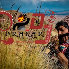 MANZANA DJ Brakar