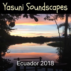 Yasuni Soundscapes - Ecuador 2018