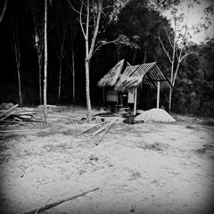 Traveller (Original Mix)