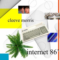 internet 86'