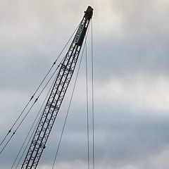 We Dont Mess About Podcast 029 - Sheep (Drum & Bass)