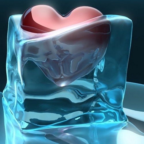 Used ice store box
