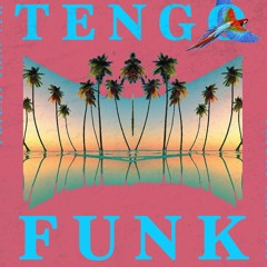 Tengo Funk Vol 2  (Gio Sandz live mix)