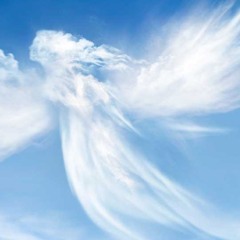 Désolation D'ange (inspiré par "Mon Ange de Désolation" de Noir Désir)