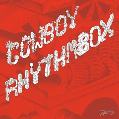 Cowboy Rhythmbox 'Terminal Madness' [PH82]
