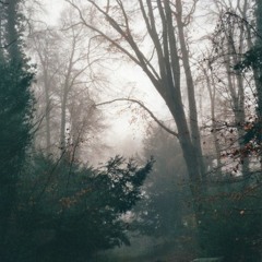 My Heart My Soul Ft. Zayle