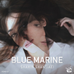 Shahin Shantiaei - Blue Marine