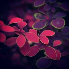 Night Sky Illusion - Lost (Instrumental)