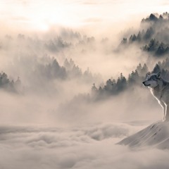 Smokey