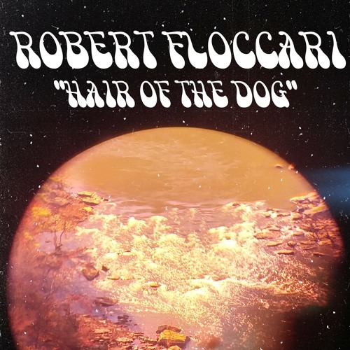 Stream Hair of The Dog (Cover) by Bobby Floccari Listen online for