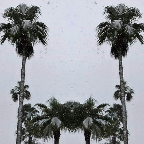 Intoxicated (Prod. Lonesxme)