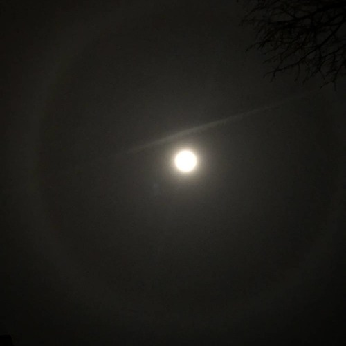 from me, the moon