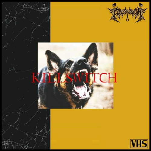 KILLSWITCH (PROD. PVRISWHITE)