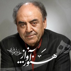 علی اصغر شاهزیدی - شور دشتی