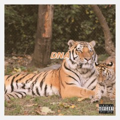 DNA - featuring $WANG