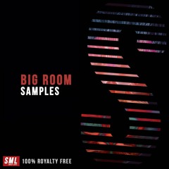 Big Room Samples