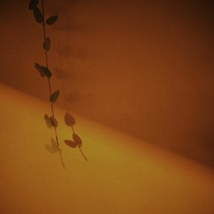 Walls feat. Foeseal