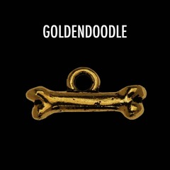 GOLDENDOODLE (feat. 37Heartbreak)