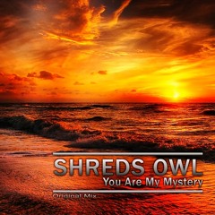 Shreds Owl - You Are My Mystery (Original Mix)