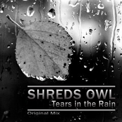 Shreds Owl - Tears in the Rain (Original Mix)