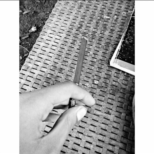 كسر قلمه (kasar_almo)