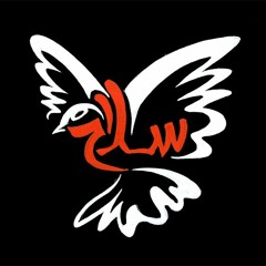 Salaam for Yemen (Snippets)