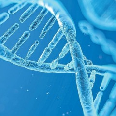 Life Molecule Preview nomix