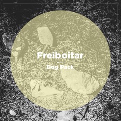 Freiboitar - Police In Da House (Snippet) | NBR073