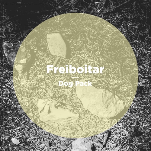 Freiboitar - Police In Da House (Snippet) | NBR073