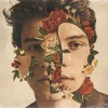 Shawn Mendes In My Blood Mp3