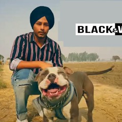 BLACK & WHITE | Harinder Samra | Dreamboy | AP Gagan gill
