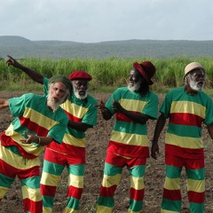 Intravinyl: The Congos