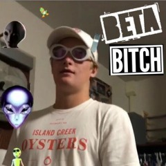 BETA BITCH