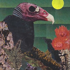 The Hermits - Ruby Red Summer